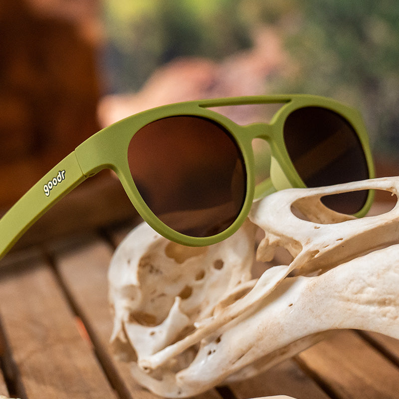 Three-quarter angle view of olive green sunglasses with brown non-reflective round lenses sitting atop a fossil.