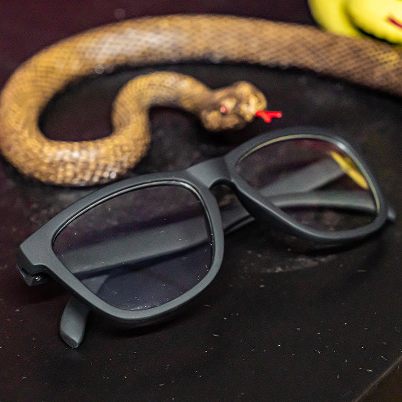 Three-quarter angle view of folded black square-shaped sunglasses with clear lenses, a decorative plastic snake behind it.