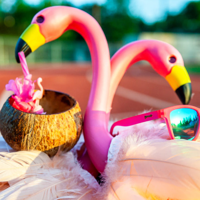 Flamingos on a Booze Cruise Origin Story
