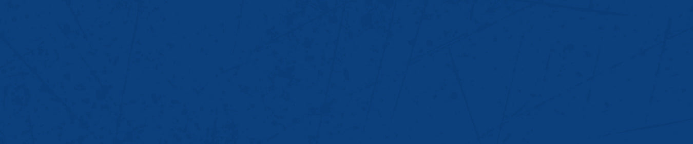 The University of Alabama