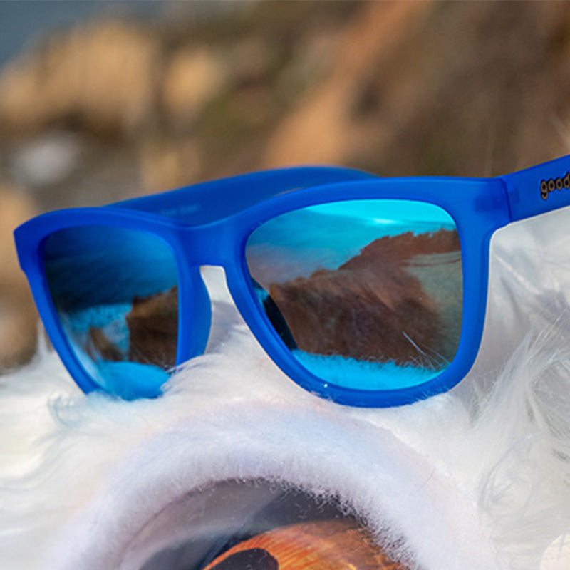 Three-quarter angle view of royal blue sunglasses with blue reflective lenses sitting on a white furry surface.