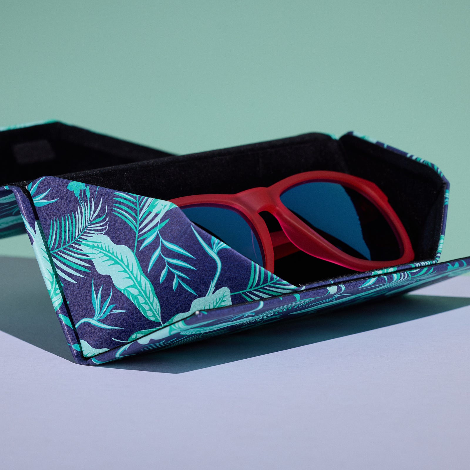 case for goggles Enter The Fold