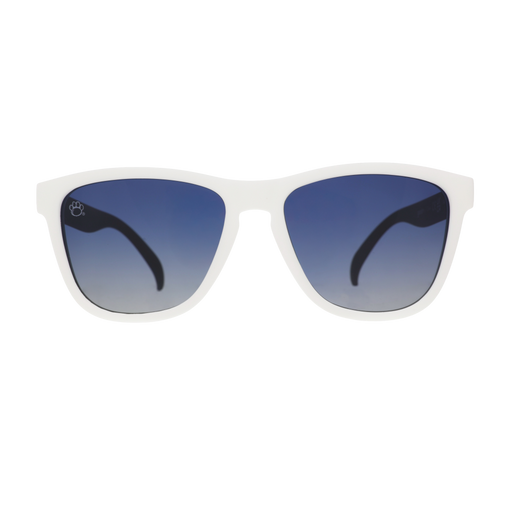 Front view of white Penn State sunglasses with blue gradient lenses and a classic square shape.